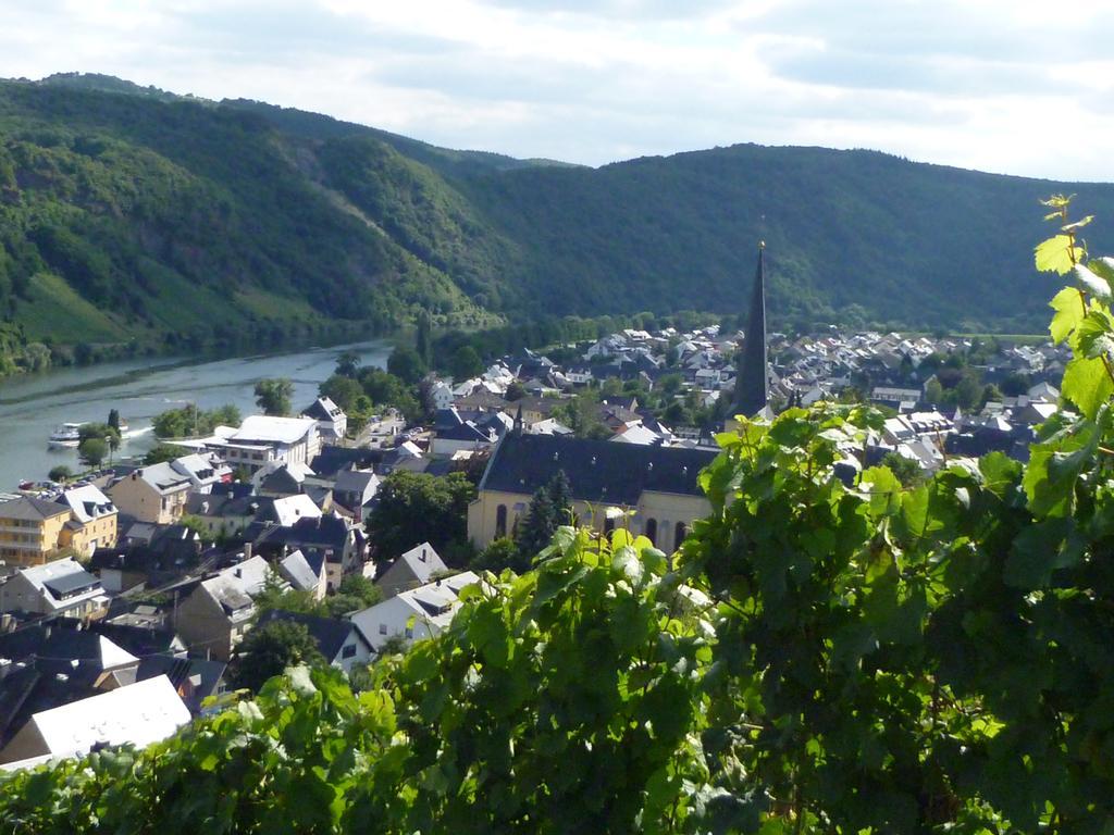 Apartmán Der Weinladen Kröv Exteriér fotografie