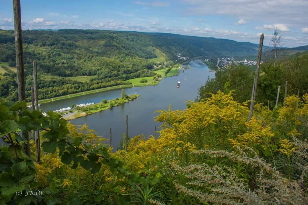 Apartmán Der Weinladen Kröv Exteriér fotografie