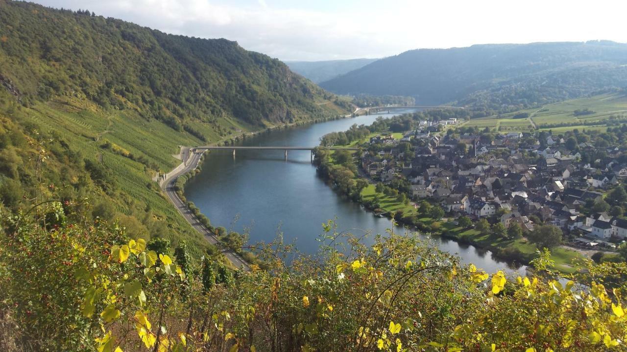 Apartmán Der Weinladen Kröv Exteriér fotografie